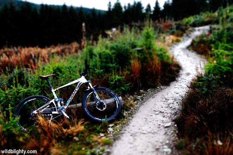 Coed Llandegla Mtb Activities Guide Wild Blighty - 