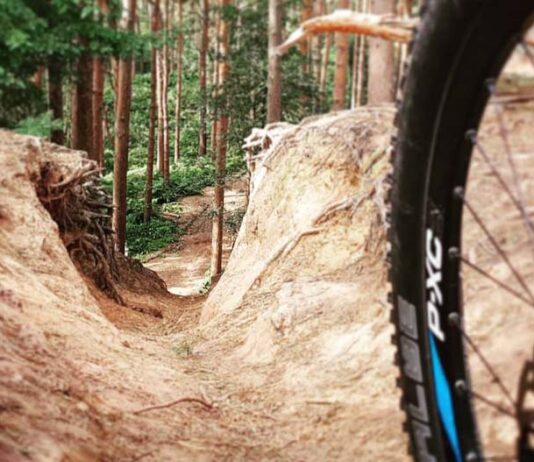 Mountain Biking at Delamere Forest