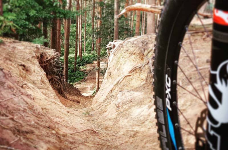 Mountain Biking at Delamere Forest