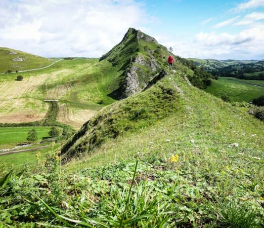 View of Parkhouse Hill with walker in foreground