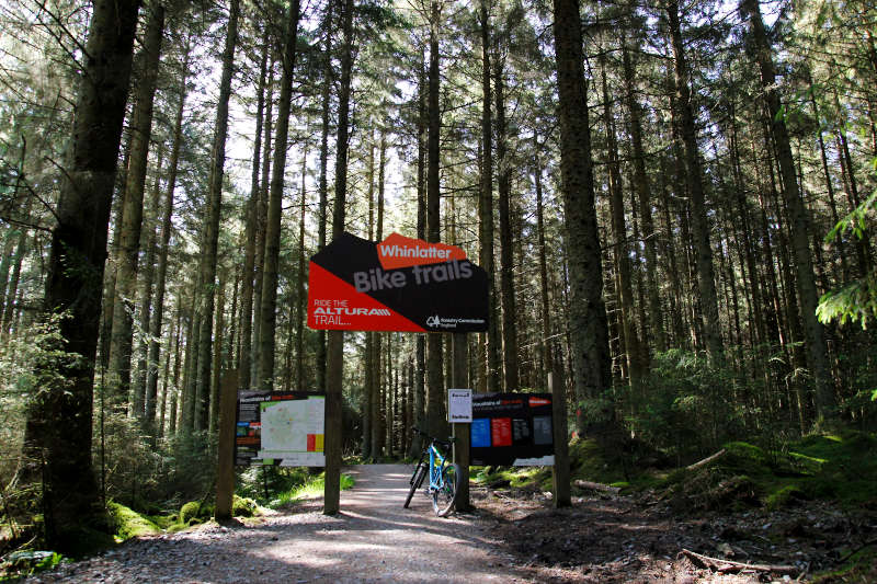 Sign for the Altura Trail at Whinlatter Forest