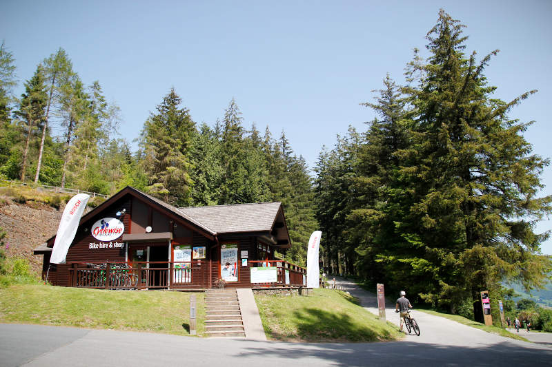 Cyclewise bike shop in Whinlatter Forest