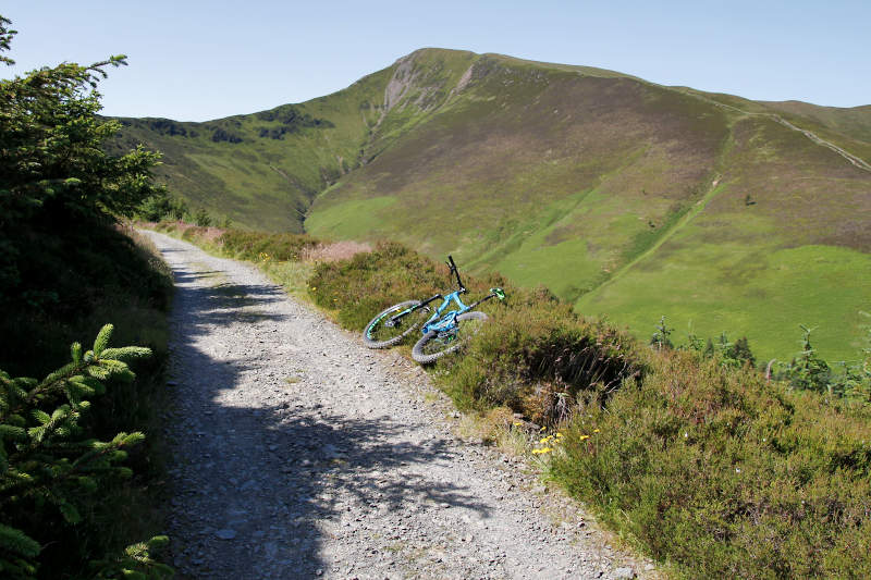 View of Grizedale Pike and MTB trail