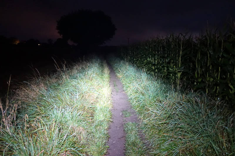 A farm trail lit up by the Silva Trail Runner 4 on Medium mode.