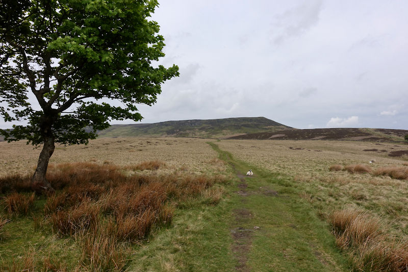 Crookstone Knoll Approach