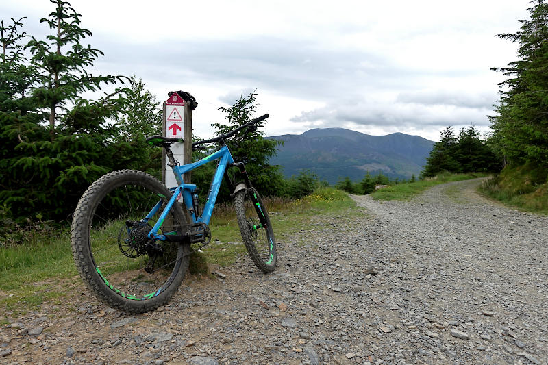 View on the Altura Trail North Loop