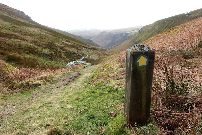 The grassy path back towards Pistyll Rhaeadr