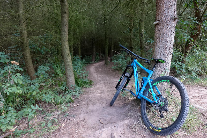 The trailhead for the Old Pale Downhill runs