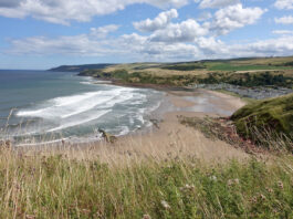 Elevated view of Pease Bay