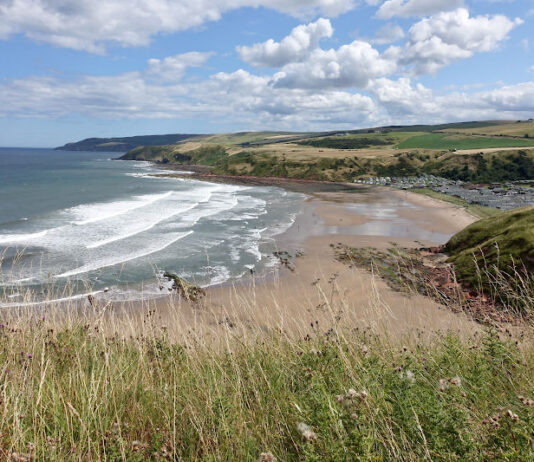 Elevated view of Pease Bay