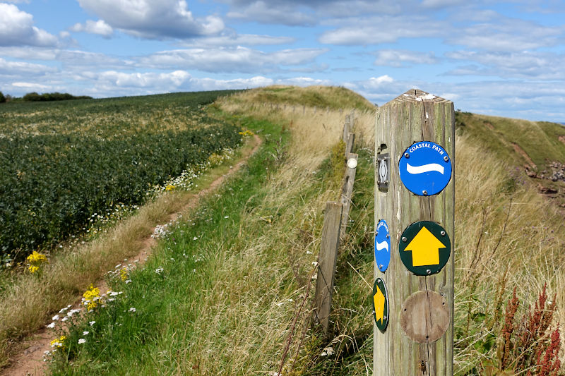 Coastal walking path sign with path leading through a field