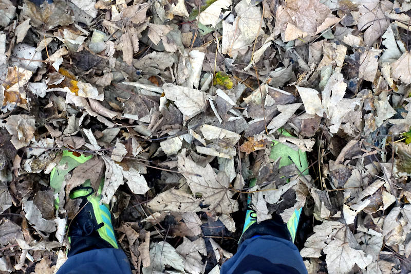 My wakling shoes amongst a carpet of leaves !