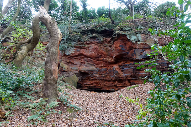 Sandstone cliff in Frodsham Hill Wood