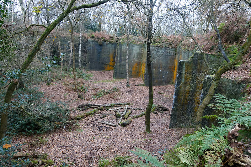 Sandstone quarry in Harmers Wood