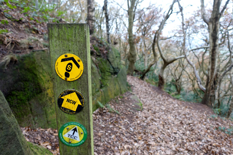 Sandstone Trail sign in Frodsham Hill Wood